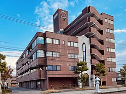 物件画像 信開ドムス駅南