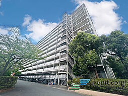 物件画像 市川パークハイツＢ棟