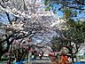 周辺：公園「薬円台公園まで922m」