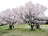 周辺：公園「中央公園まで876m」