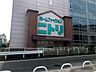 周辺：ホームセンター「ニトリ松戸店まで937m」