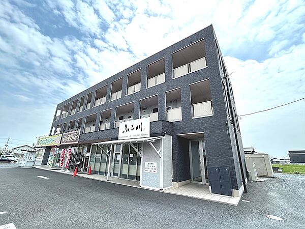 ＆米沢 ｜茨城県水戸市米沢町(賃貸マンション1LDK・2階・33.37㎡)の写真 その1