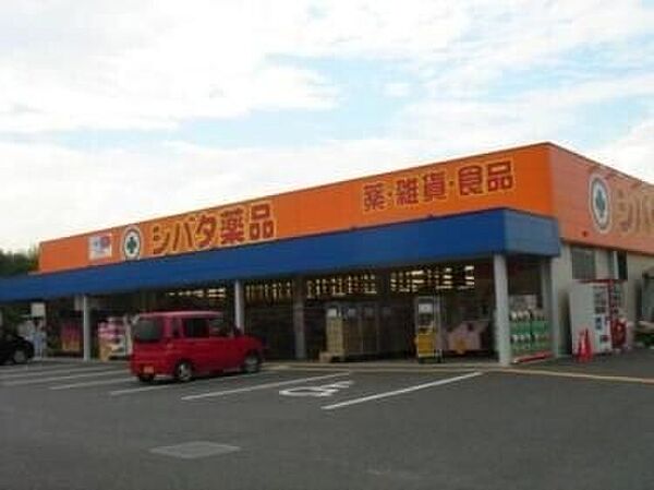 画像25:シバタ薬品住吉店 922m