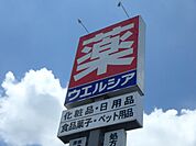 ウエルシア下野小金井店 590m