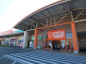 ザ・ビッグエクストラ真岡店 1970m