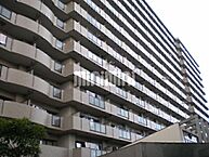千葉県千葉市美浜区幸町1丁目：物件画像／株式会社ミニミニ城東　千葉店