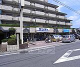 サンディ 桂店まで600m 大きなファミリー物件1階にあります。駐車場もあり