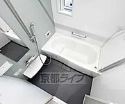 3点セパレート
