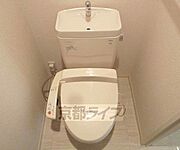 綺麗です