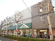 マルエツ 田端店（144m）