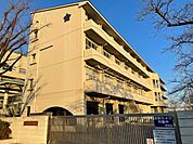 小学校「厚木市立相川小学校まで198m」