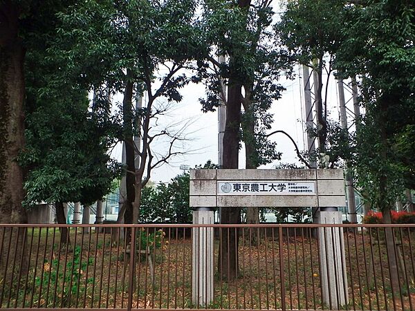 画像26:【大学】国立大学法人東京農工大学 府中キャンパスまで822ｍ