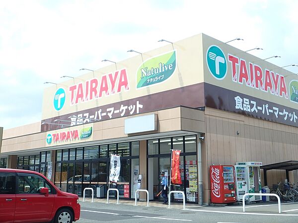 画像25:【スーパー】TAIRAYA（たいらや）エコス 小平店まで715ｍ