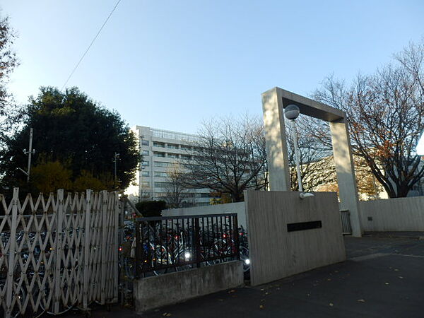画像3:【大学】武蔵野美術大学まで830ｍ