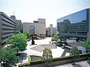 大学「聖徳大学まで1400m」