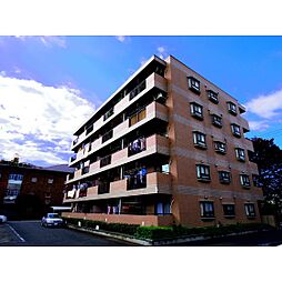 エクセル武蔵野 301