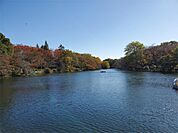 井の頭公園（2079m）