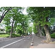 図書館「成蹊大学情報図書館まで785m」