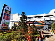 キテラタウン調布（332m）