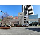 ライフ　府中中河原店（487m）