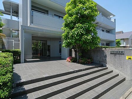 時代の移ろいを重ね大切に住み継がれてきたマンションです。植栽は綺麗に整られ、毎日気持ちよく出入りできそうです。