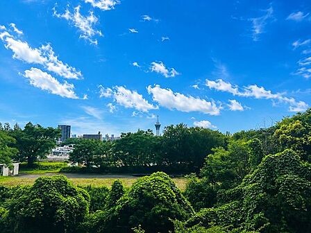 バルコニーからは大きな青空と深い緑のコントラストが美しい、自然豊かな景色が広がります。心地よい陽の光と風を感じながら、開放的な気分を味わえる空間です。
