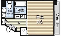 aLATO白壁 10階/-