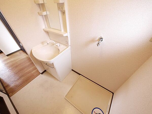 画像25:ゆったりとスペースのある洗面所