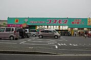 コスモス（450m）