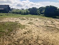 福島県いわき市四倉町上仁井田字横川：物件画像
