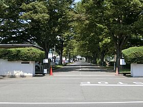 セピア鶴ヶ島 103 ｜ 埼玉県川越市大字天沼新田246-7（賃貸マンション1K・1階・27.15㎡） その18