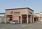 ショッピングセンター「Ａコープつばた店まで169ｍ」