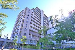 プラウドシティ金町アベニュー