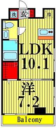ラフィスタ亀有 8階1LDKの間取り