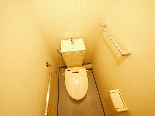 画像8:落ち着いた色調のトイレです