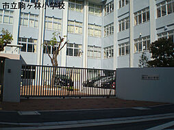 周辺施設の画像