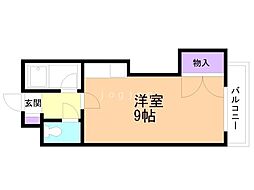 ハイツフランセ円山 5階/503