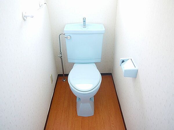 落ち着いた色調のトイレです