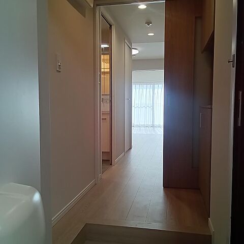 玄関 ライオンズマンション川崎貝塚 7階/-