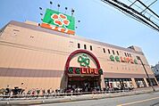 ライフ経堂店 560m