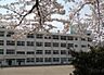 周辺：仙台市立鹿野小学校 徒歩13分。 1040m