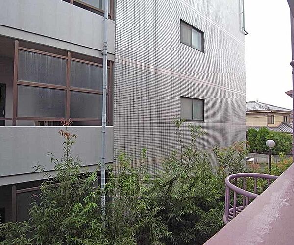 京都府長岡京市野添2丁目(賃貸マンション2LDK・1階・46.00㎡)の写真 その21