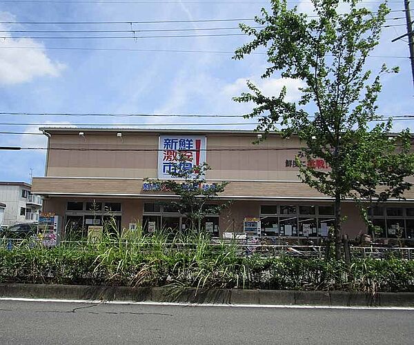 新鮮激安市場 桂店まで600m 桂川街道沿いのディスカウントスーパー。毎日が特売日です。