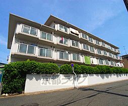 マッシュハイムI