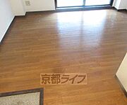 綺麗です
