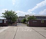 北槙島小学校まで544m