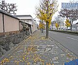 秋は紅葉が綺麗です。