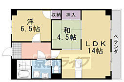 ロココ桂 3階/-
