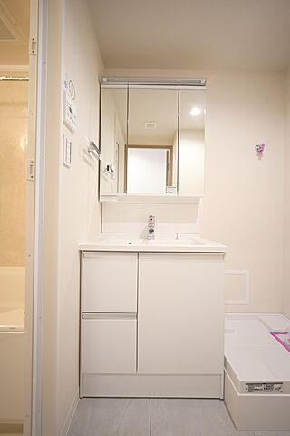 洗面 ライオンズマンション調布Ｄ棟 3階/-