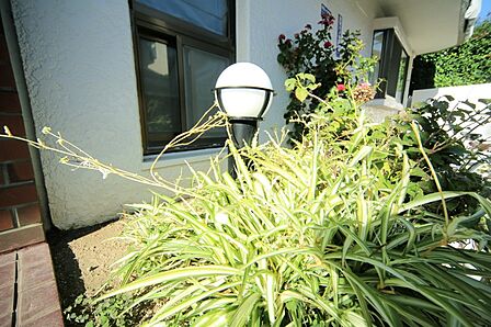 マンションの敷地内には、植栽が施されております♪